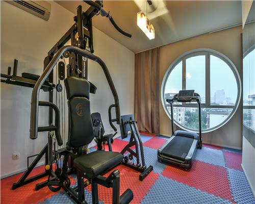 AVIATIEI  HERASTRAU,PENTHOUSE, 4 CAMERE, 258 MP, TERASA 110 MP, PANORAMIC VIEW